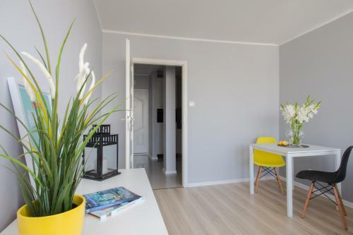 Apartment Cohen