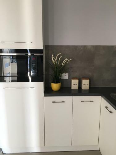Apartment Cohen