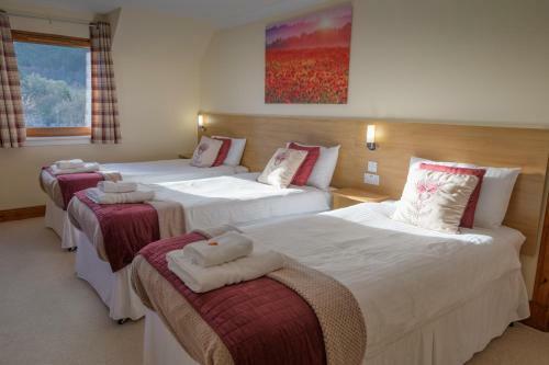 Bed & Breakfast Bracarina House
