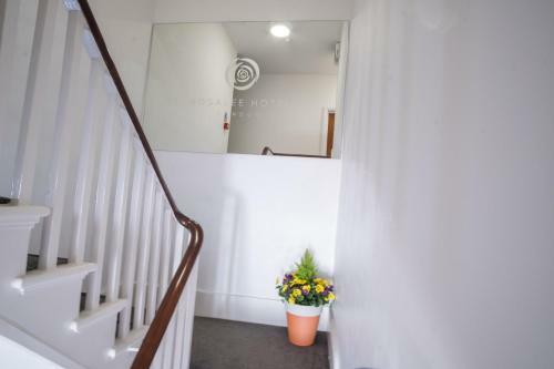 Hostal Rosalee Hotel