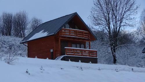 Lodge Ca?oroczne Domki Buena Vista