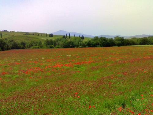 Hotel Antica Locanda