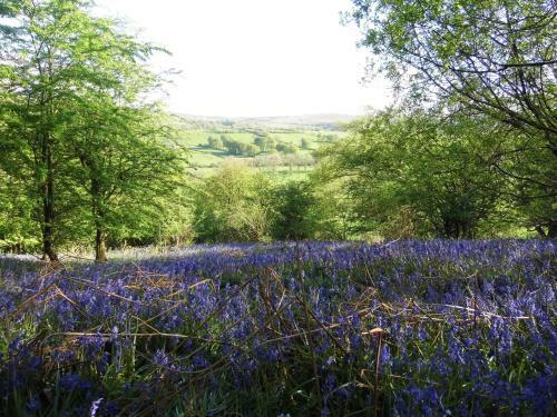 Bed & Breakfast Clerk Laithe Lodge
