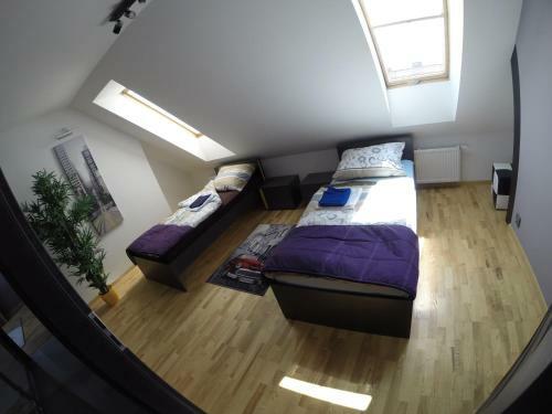 Apartament City