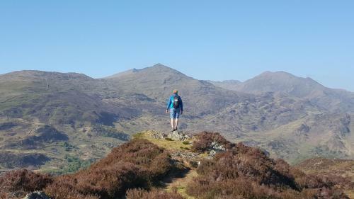Bod Gwynedd Bed And Breakfast