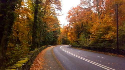 Bod Gwynedd Bed And Breakfast