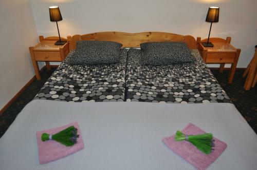 Hostal Willa Otulina