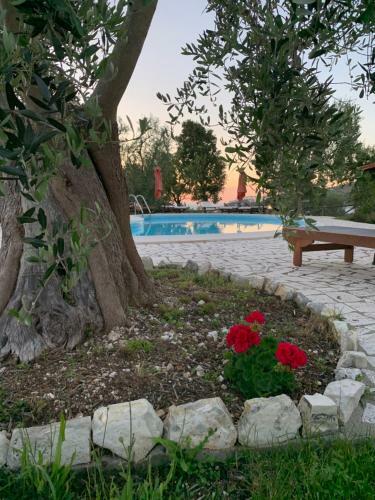 Bed & Breakfast Parco Dei Limoni
