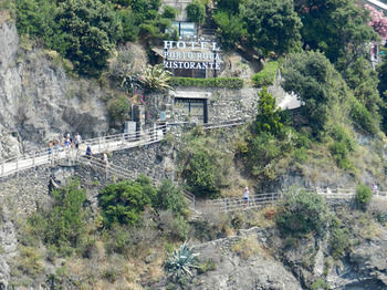 Hotel Punta Mesco
