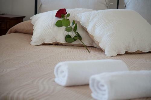 Sant'angelo 42 - Bed & Breakfast