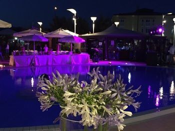 Hotel La Isla Resort