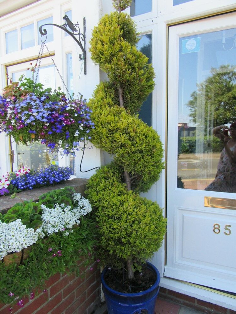Hostal The Langtons