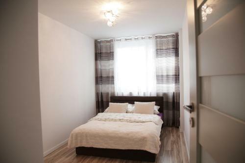 Apartamento Central Suites&studios