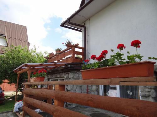 Hostal Stefanka