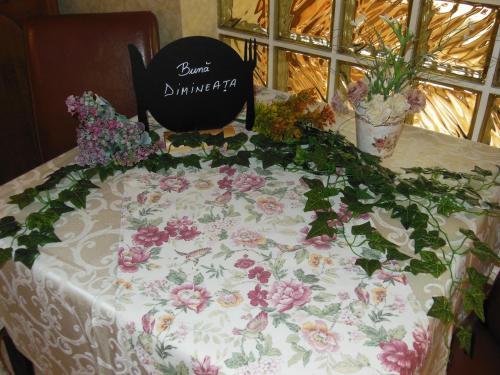 Hostal Pensiunea Dapa
