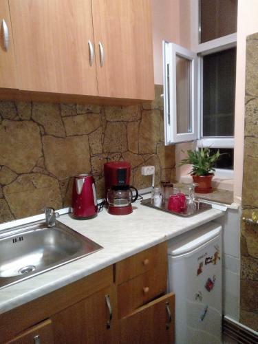 Apartament Central Adriana