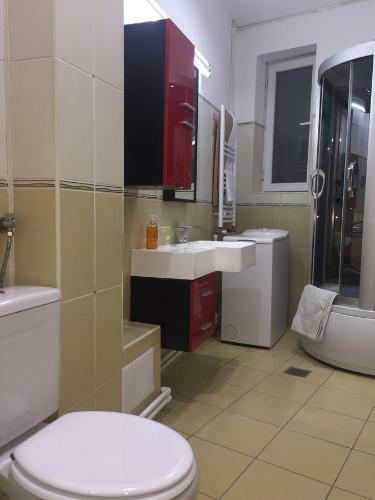 Apartament Unirii Centru