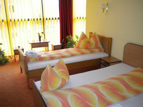 Hostal Pensiunea Carmena