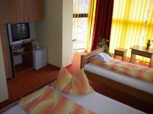Hostal Pensiunea Carmena