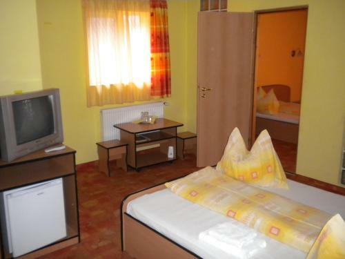 Hostal Pensiunea Carmena