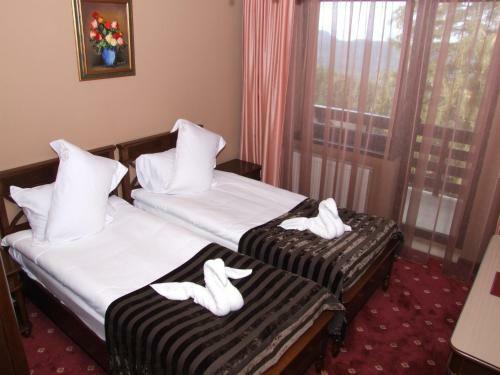 Hotel Complex Verona Predeal