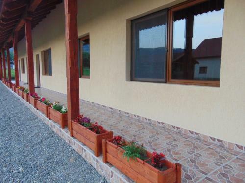 Apartamento Casa Loksi