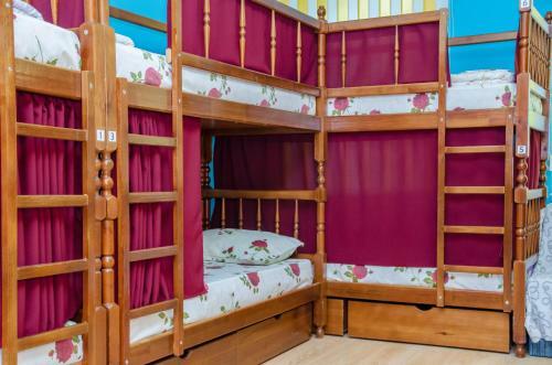 Hostel Druzhny