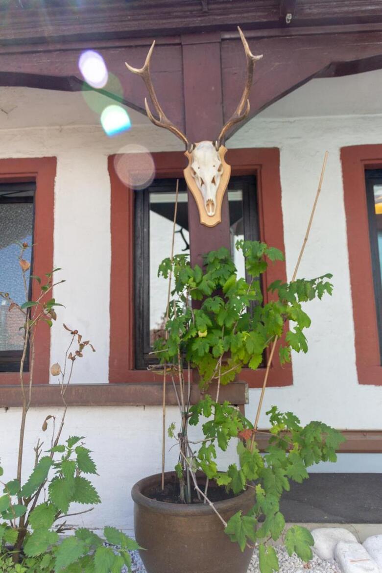 Hotel Hackteufel