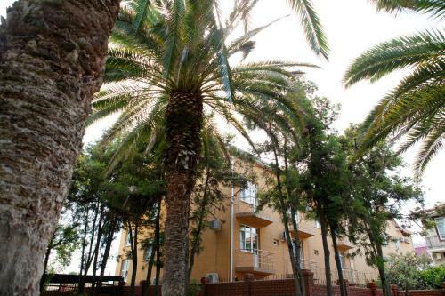 Hostal Guest House Mali
