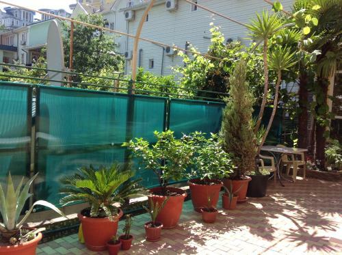 Hostal Sofiya Guest House