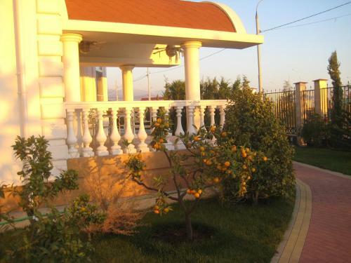 Black Sea Apartment