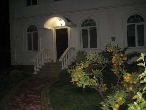 Black Sea Apartment