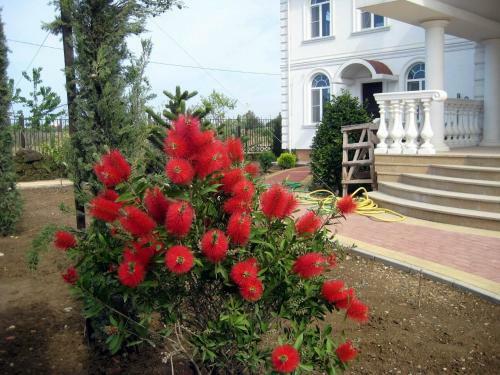 Black Sea Apartment