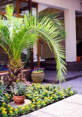 Hostal Guest House Sapfir