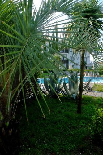 Apartment Olimp