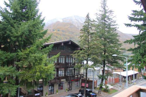 Apart-hotel Gorny Tsvetok