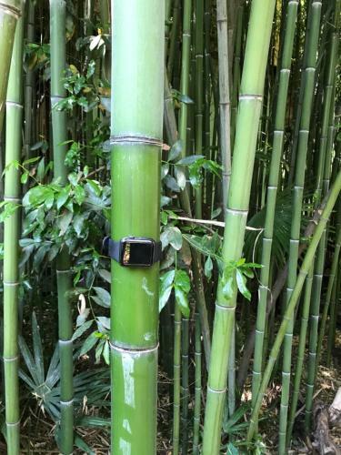 Hostal Bamboo Khutor Guest House