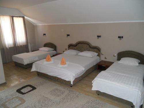 Hostal Guest House Vila Bor