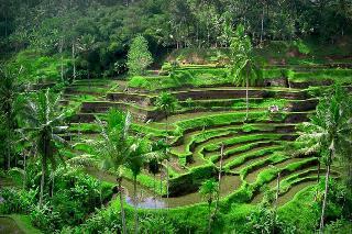 Hotel Puri Dalem Cottages