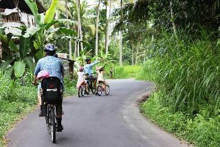 Hotel Puri Dalem Cottages
