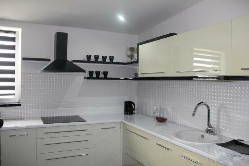 Luxury Apartments & Penthouse Central Chisinau