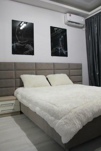 Luxury Apartments & Penthouse Central Chisinau
