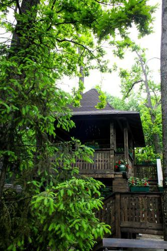 Cornul Vanatorului Bungalows