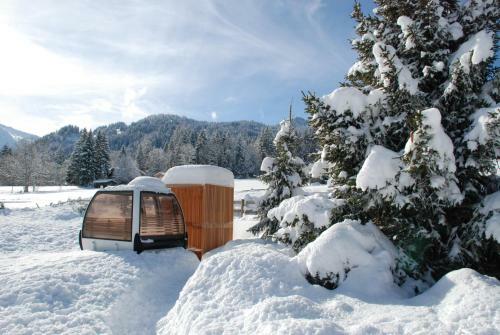 Hotel Lenk Lodge