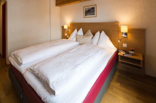 Hotel Edelweiss Superior