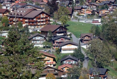 Chalet Silky