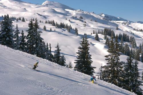 Apartamento Chalet Les Croix