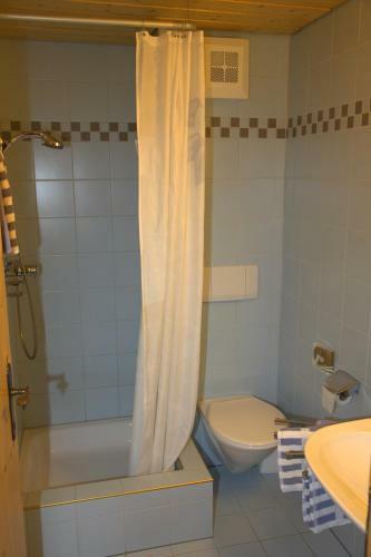 Apartment Madlaina