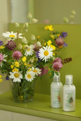 Thermal Hotels & Walliser Alpentherme Leukerbad