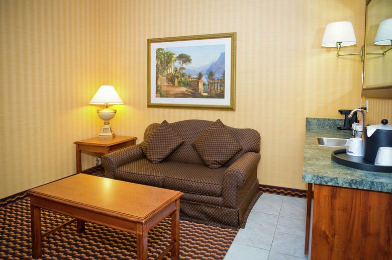 Hotel Hampton Inn & Suites Sacramento-auburn Blvd. Ca